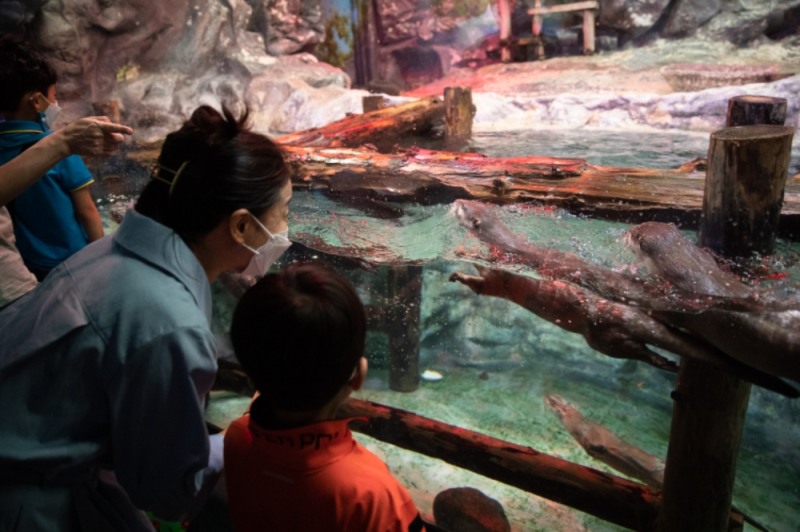 롯데월드 아쿠아리움을 즐기는 가족 모습./ 사진제공 = 롯데월드