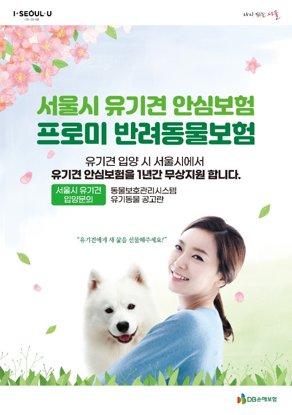 서울시에서 유기견을 입양하면 서울시가 DB손해보험의 유기견 안심보험을 1년간 무상지원한다./사진 제공= DB손해보험