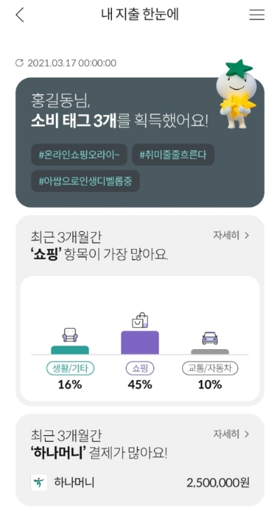 하나카드 '내 지출 한눈에' 서비스. /사진제공=하나카드