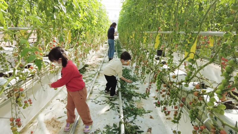 우리카드가 언택트(Untact) 농촌 체험 프로그램 ‘디지털 도시농부’를 성공적으로 마무리했다고 23일 밝혔다. /사진제공=우리카드