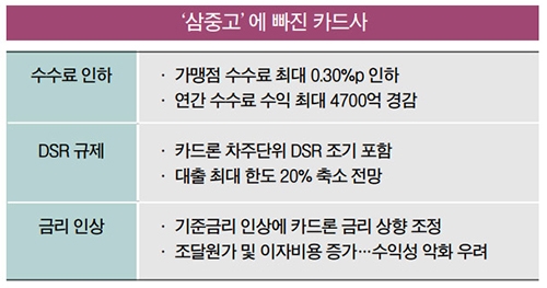 카드사, 정책 규제 타개책 마련 분주