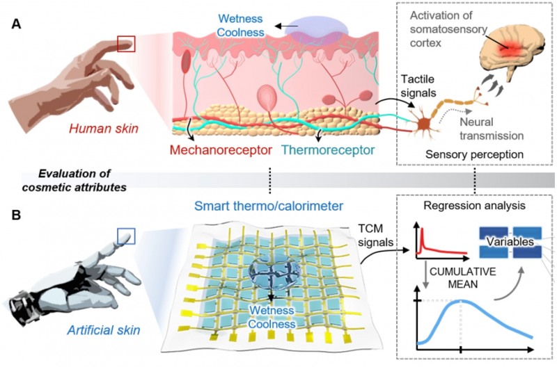 아모레퍼시픽과 울산과학기술원이 공동 개발한 지능형 촉각 센서./사진제공=아모레퍼시픽