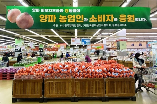 농협, '양파 소비촉진 특판행사' 실시