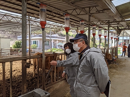 농협경제지주, '한우농가 종합경영컨설팅' 사업 참가자 모집