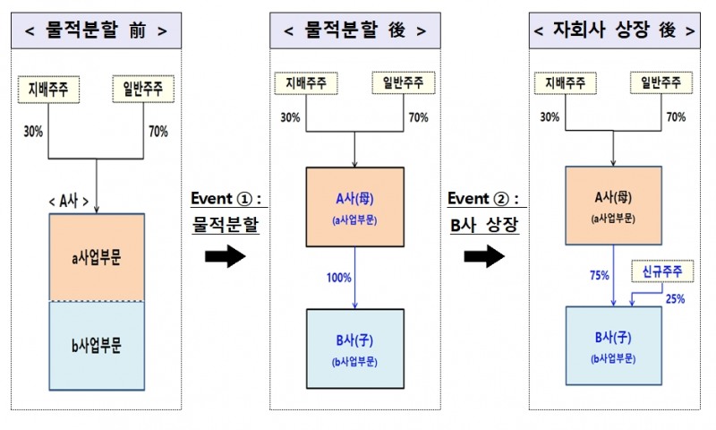 물적분할 개요 / 자료제공= 금융위원회(2022.03.06)