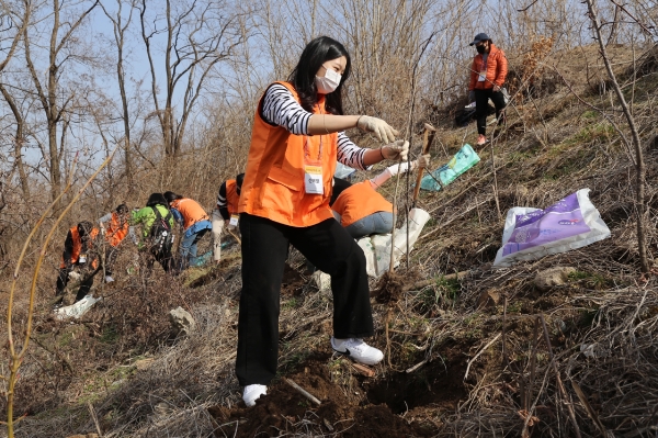 한화손해보험 봉사단이 환경교육전문기관 녹색교육센터와 함께 지난 16일 오후 마포구 난지도 노을 공원에서 도시숲 조성을 위한 나무심기 행사를 진행했다./사진 제공= 한화손해보험