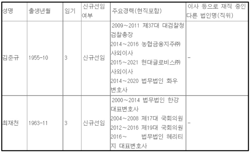 사외이사 선임 세부 내역. /자료제공=금융감독원 전자공시시스템