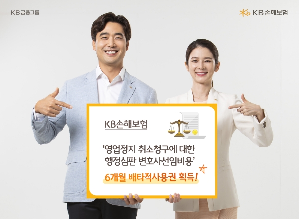 KB손해보험의 '영업정지 취소청구에 대한 행정심판 변호사선임비용'이 6개월 배타적사용권을 획득했다./사진 제공= KB손해보험