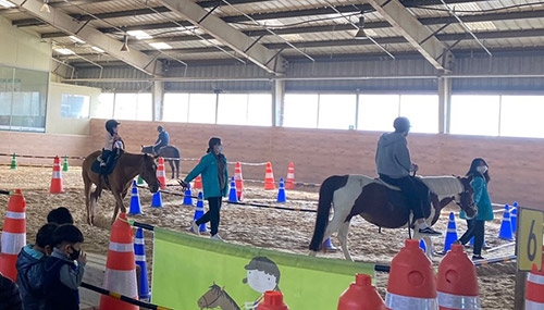 농협 안성팜랜드, 말(馬)산업 교육체험교실 무료운영