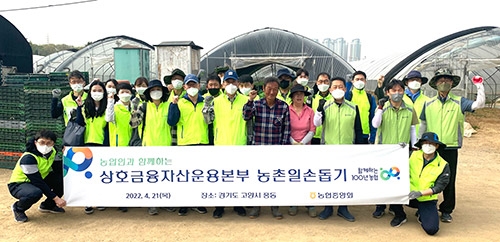 농협 상호금융자산운용본부, 대파농가 일손돕기 실시