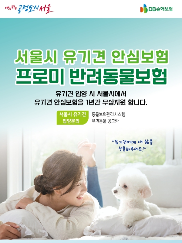 DB손해보험이 '서울시 유기동물 안심보험 지원사업' 사업자로 2년 연속 선정됐다./사진 제공= DB손해보험