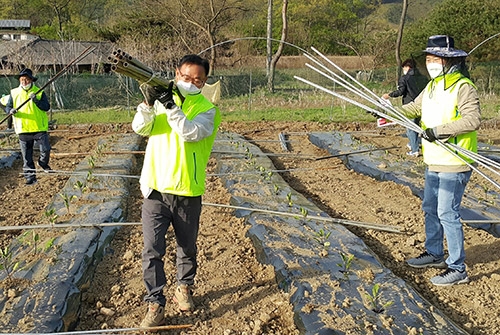 농협중앙회 조합구조개선부, 영농철 일손돕기 나서