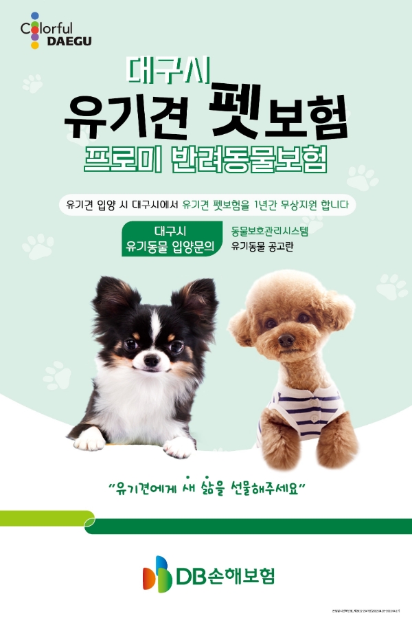 DB손해보험이 대구광역시와 손잡고 유기견 펫보험 지원사업을 실시한다./사진 제공= DB손해보험