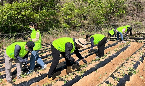 농협 상호금융디지털채널부·자재부, 농번기 일손돕기 풍년기원