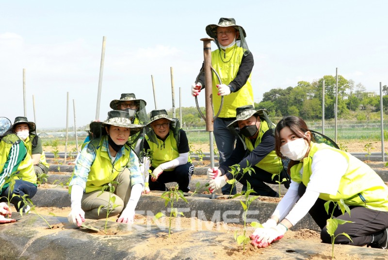 정영채 NH투자증권 사장(왼쪽 세 번째)과 임직원들이 6일 경기도 파주시 문산읍 당동2리 농가를 방문해 올해 첫 일손 돕기 봉사활동으로 고추 모종심기 작업을 하고 있다./사진=NH투자증권