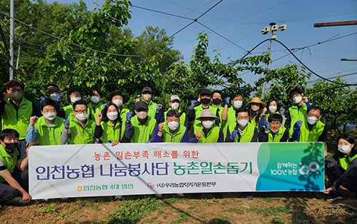 인천농협 나눔봉사단, '농번기 농촌일손돕기' 실시