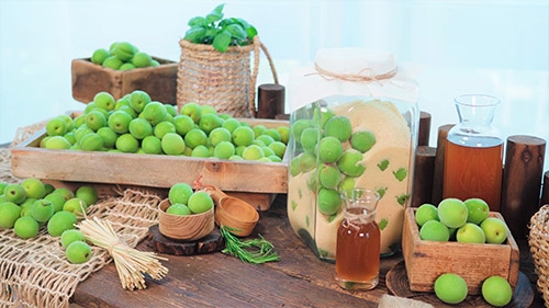 농협, 올해 첫 출하 햇매실 특별판매