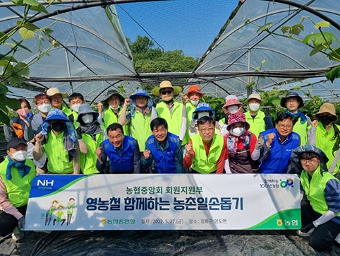 농협중앙회 회원지원부, 포도농가 곁순따기 작업 동참