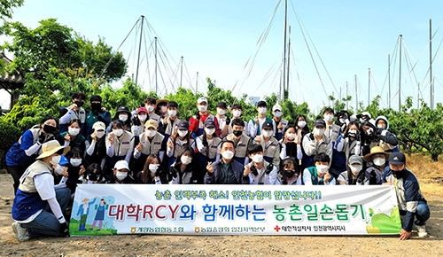 인천농협, 대학생 농촌봉사단과 농촌일손돕기 실시