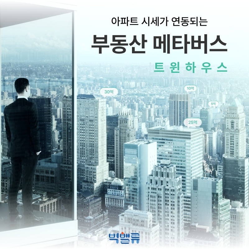 트윈하우스 이미지 / 사진제공=빅밸류