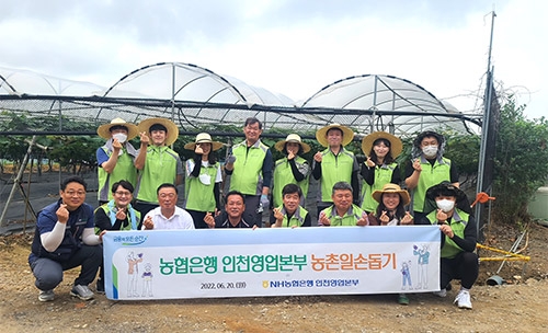 NH농협은행 인천영업본부, 농촌일손돕기 실시
