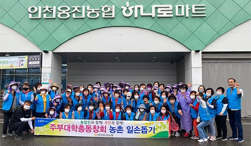 인천옹진농협, 포도봉지 씌우기 농촌일손돕기 실시