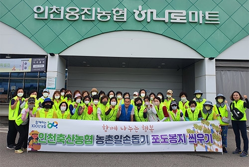 인천축산농협, 일손부족 포도농가 영농지원 봉사활동 실시