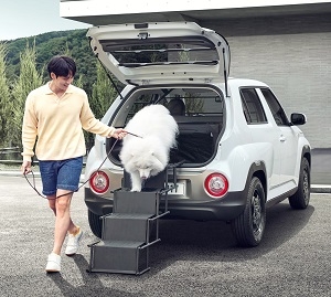 현대차, 캐스퍼 커스터마이징 패키지 추가...카크닉·대형견 겨냥