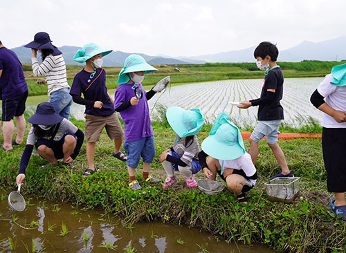농협, 농업가치 위한 '친환경 텃논밭 지원사업' 실시