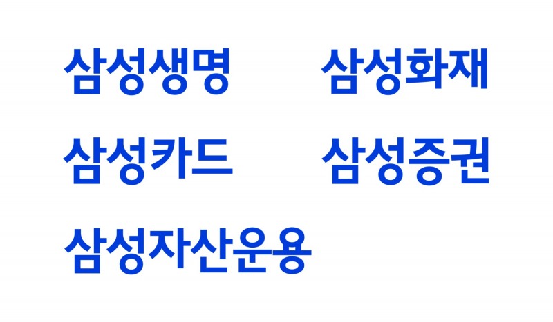 삼성생명, 삼성화재, 삼성증권, 삼성카드, 삼성자산운용 등 삼성금융계열사로 구성된 삼성금융네트웍스 회사 별 새 CI./사진=삼성금융네트웍스