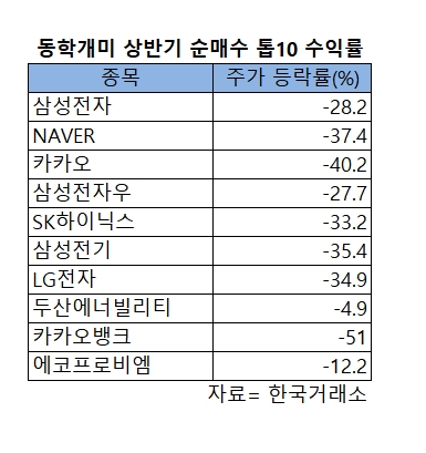 동학·서학개미 상반기 '눈물'…삼성전자·테슬라 나란히 -30%
