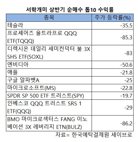 동학·서학개미 상반기 '눈물'…삼성전자·테슬라 나란히 -30%