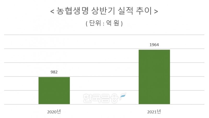 자료 = 농협금융지주 상반기 실적보고서