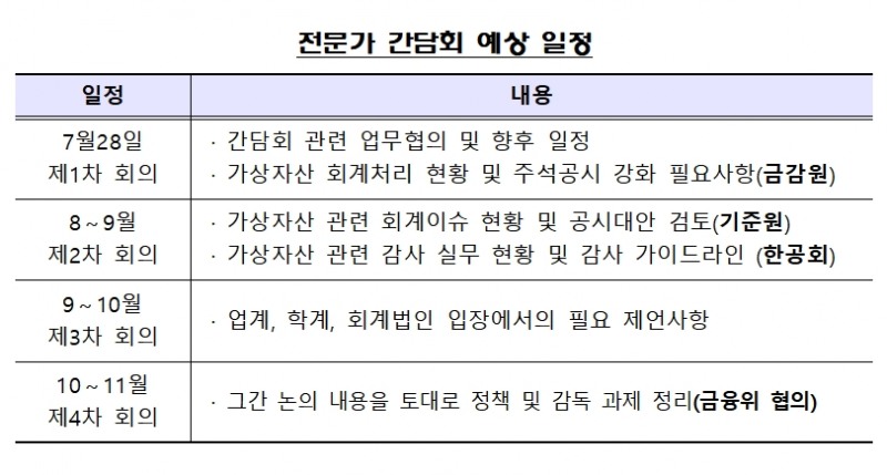 가상자산 회계이슈 전문가 간담회 일정 / 자료제공= 금융감독원(2022.07.27)
