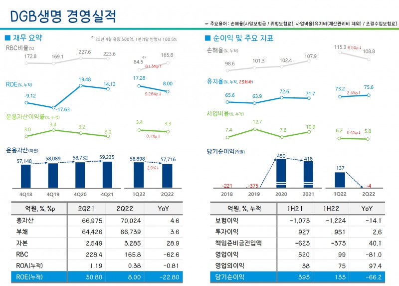 DGB생명의 주요 경영 실적 지표. /자료제공=DGB금융지주