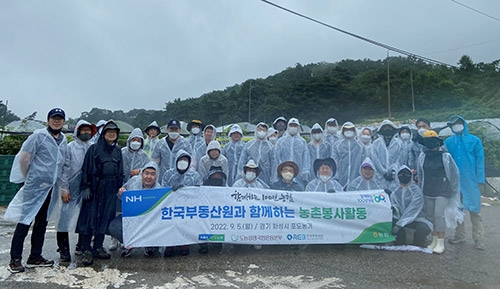 농협중앙회-한국부동산원, '국민과 함께하는 농촌봉사활동' 펼쳐