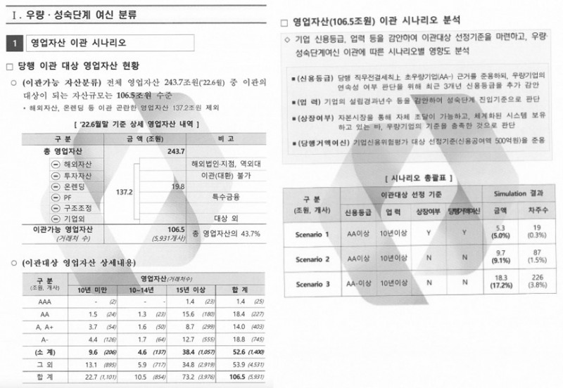 산업은행이 작성한 '우량·성숙단계 여신 판별기준 시나리오' 문건./자료=김주영 의원실