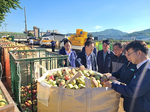 이재식 농협중앙회 부회장, 태풍 낙과피해 현장 점검