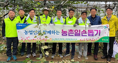 농협중앙회 강원검사국, 농촌일손돕기 실시