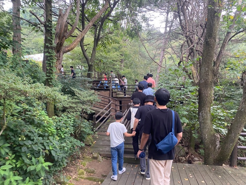 서울후생원 아동들과 삼표그룹 임직원들이 경기 양주시 장흥자생수목원을 찾아 숲길을 걷고 있다. / 사진제공=삼표