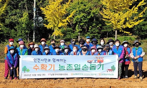 인천농협, 관내 농가 수확기 농촌일손돕기 실시