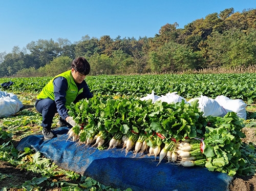 농협경제지주, 자매결연농협 농가 일손돕기 실시