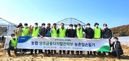 농협 상호금융디지털전략부, 일손부족 참외 농가 손길 보태