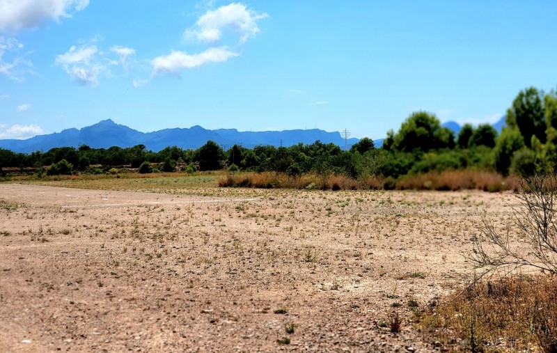 스페인 카탈루냐州 몬로지市에 위치한 공장 부지./사진제공=일진머티리얼즈