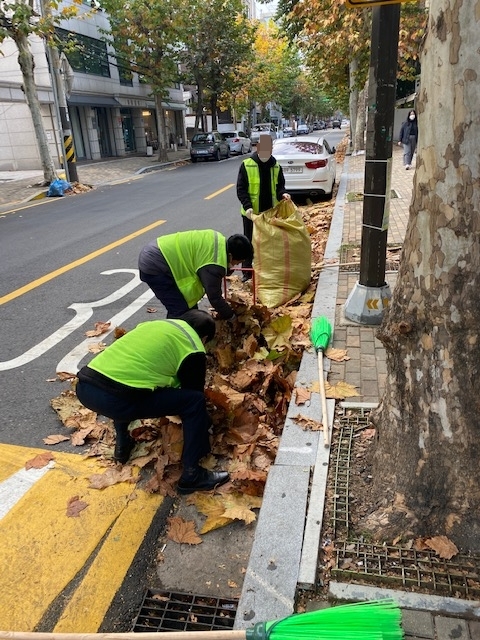 안심일자리 사업 참여자들이 가을철 도로에 떨어진 낙엽을 수거하고 있다./사진제공=마포구