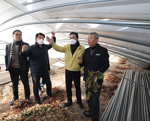 이성희 농협중앙회장, 폭설피해 농업현장 점검 나서