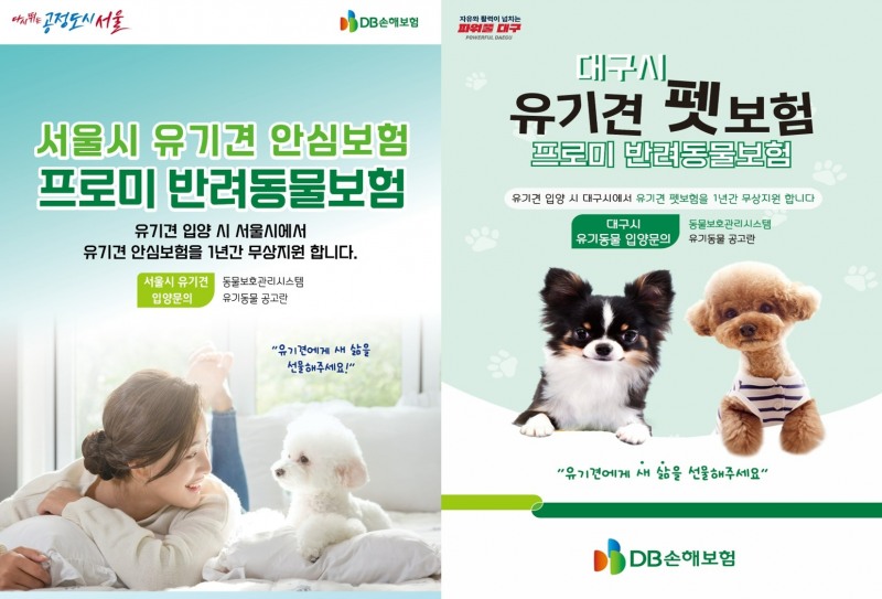 DB손해보험이 유기견 안심보험 지원 사업에 참여하고 있다./사진=DB손해보험