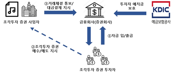 조각투자 증권 거래 및 보호 구조도. / 자료제공=예보