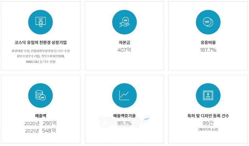 국내 친환경 대표 기업 중 한 곳인 ‘자연과환경’(대표 이병용)의 2021년 기준 주요 경영 지표./사진=자연과환경 누리집 갈무리