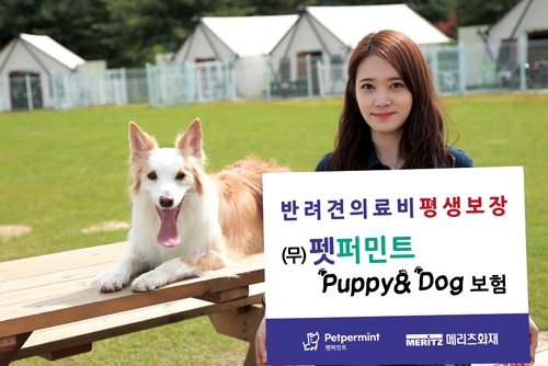 ▲ 메리츠화재 펫퍼민트